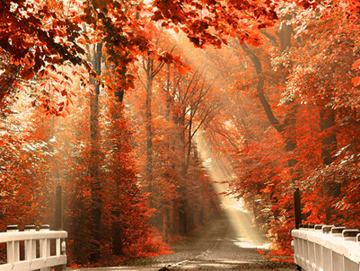 七个字的古风网名:江南古巷柳絮飘