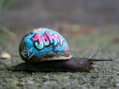 ������Եĸ�Ц������ȫ