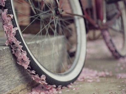 Ψ��΢�����ִ�ȫ������������¹�