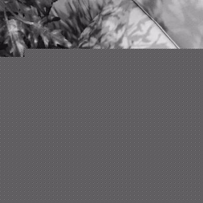 �б��˹��µ�΢���������ѹ���������-�ɰ���