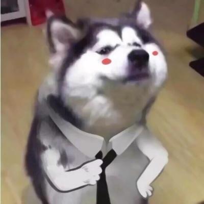 �����д��ⶺ���ǳƾ���ɳ��