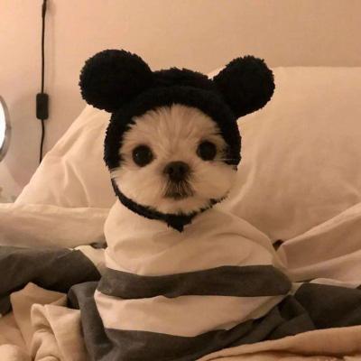 �޿ɰ�����Ȥ�ĳ������ִ�ȫ������ǰһ��-�ɰ���