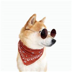 �³�������������������˼-�ɰ���