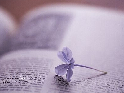 �򵥵��ĸ��������������Ե�4������