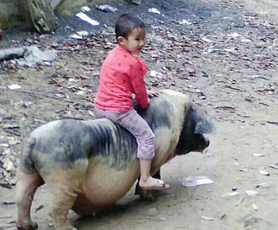 �����Ц�����������Ц΢������