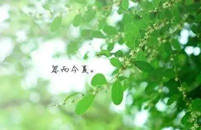 ���Ŀ��������ʺ����Ŀۿ�����