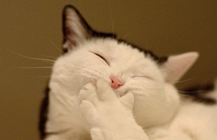 网络个性搞笑名字设计:用502粘着你,甩都甩不掉