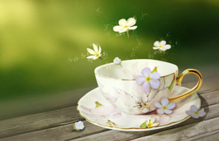 �з��ŵ�QQ������ȫ�������������