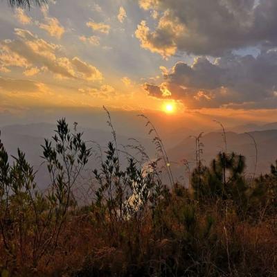 Ψ���ŷ������Ƿ۵Ŀ�������12���ֵĳ�����