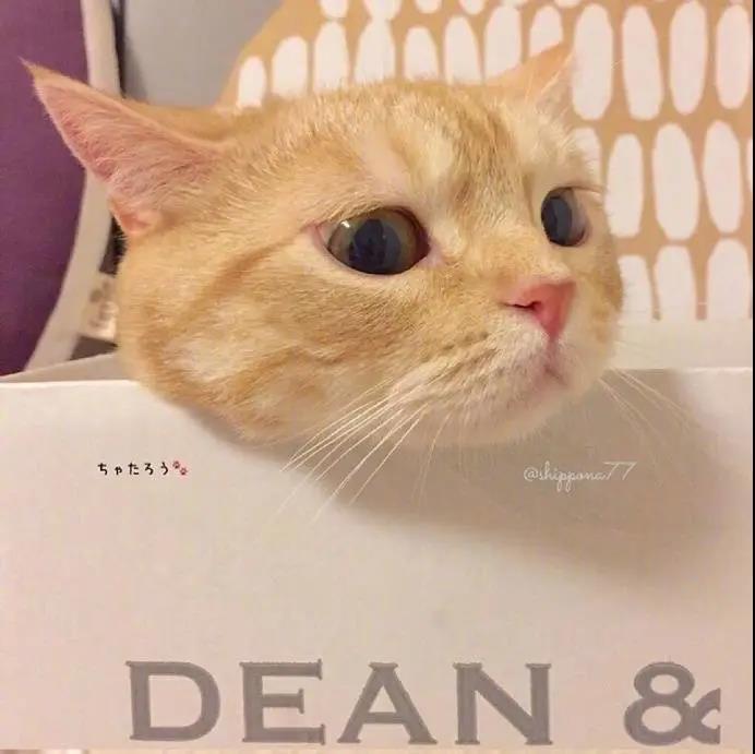 ���⾳��ʫ���������һ������-�ɰ���