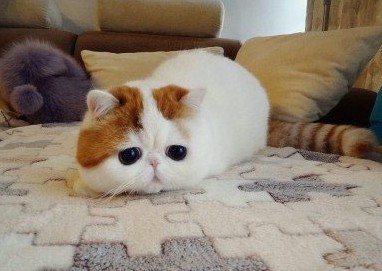 ��һ��ĸ�Ц�������˯���ѩn��