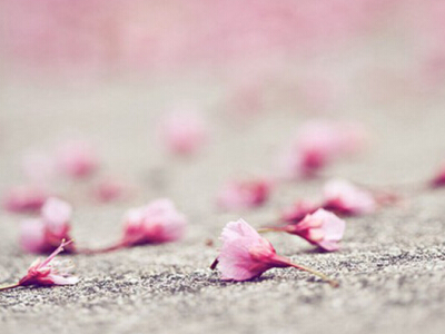 ��������Ϸ����������