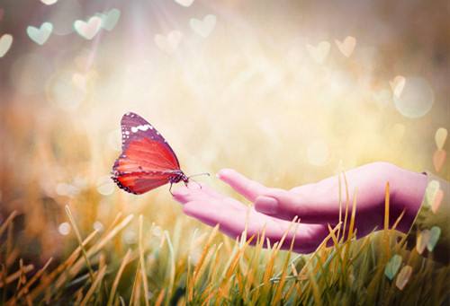 全新好看好听的网名,都是比较长的名字