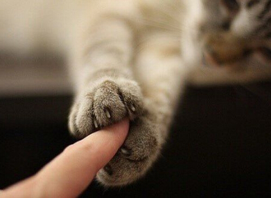 CF�����ֵ���Ϸ���֣�CF�����ֵ�ս������