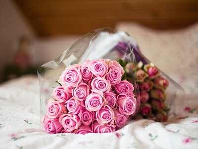 ���ż�Լ������