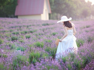 ɭϵ��������ƣ�ǣ��С����ȥ��͹��