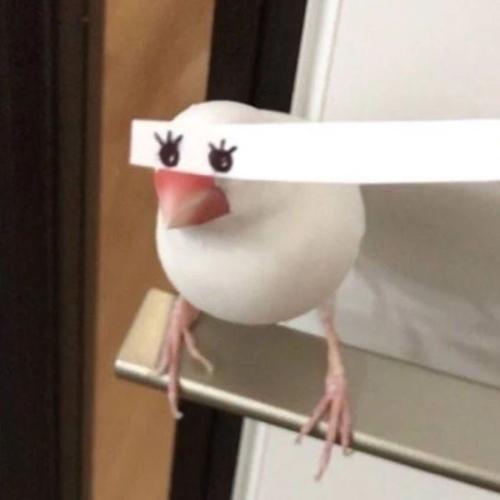 ��Ц��Ƥ���ǳ�ɳ��ʧ����-�ɰ���