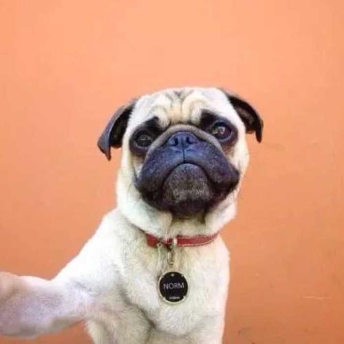 ˧������ĳ������ֺ�������-�ɰ���