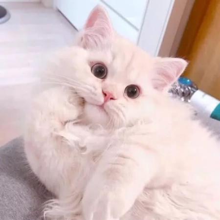 ����������ϲ�еĳ��Ｊ������ֿ�������-�ɰ���