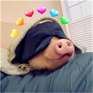 �������������ͻ���ص�˧������-�ɰ���