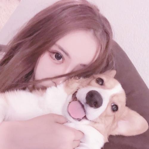 ��ѡ���ﹷ�Ĵ������ִ�ȫɵɵ���˰�-�ɰ���