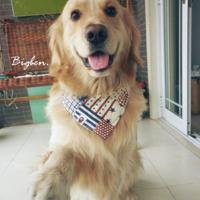 ��ů�����Ľ�ë�������ִ�ȫ����ϲ-�ɰ���