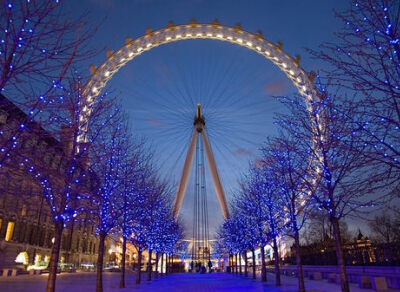 2016���ſ������