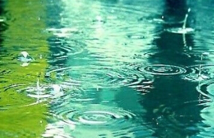 ��������Ϸ���ִ����ţ���������˼�����