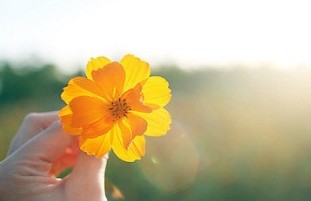 时尚新潮的非主流名字:尛樱桃〤