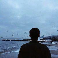 �����Գ������ֵ�΢�����������Ű���-�ɰ���