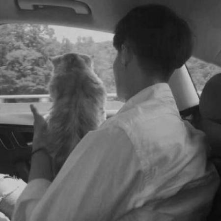 歌舞青春最好听吸引异性的网名年轻元气有活力