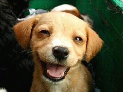 ������������������÷������