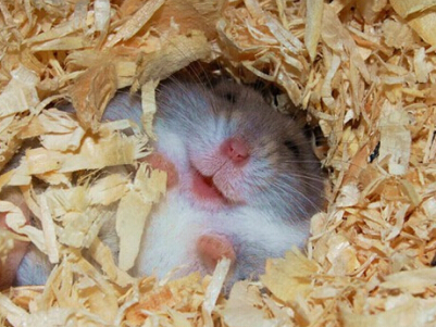 �߸��ְ���������ƣ�[�˳��Ҫ�����]