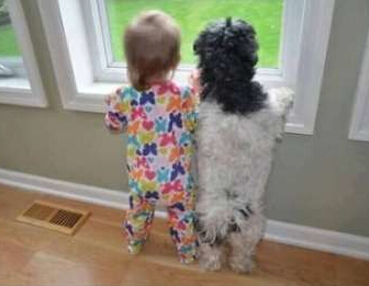 ��Ȥ�����֣����ڷ�ǰ����������