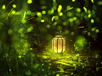 �����˵�������������������