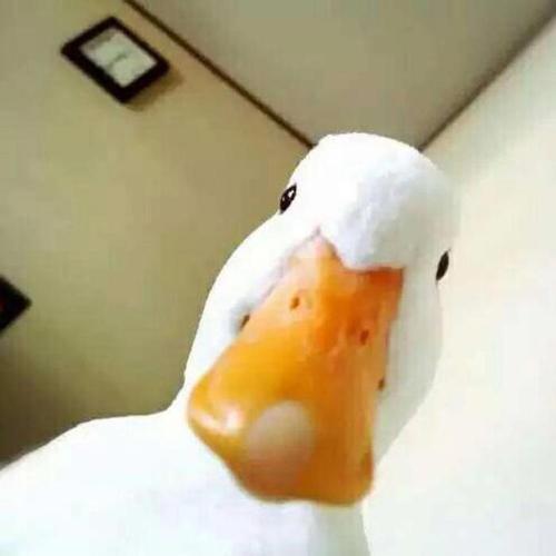 ����˧���ĳ�������������ʵ������-�ɰ���