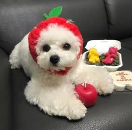 �б�ʶ��˧���ĳ������ֺ���ζ����-�ɰ���