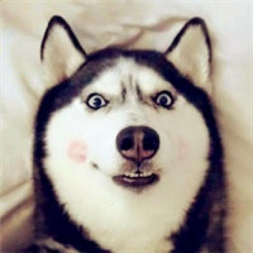 ��ӱ��Ȥ�ĳ��ﹷ�������ִ�ȫ��-�ɰ���