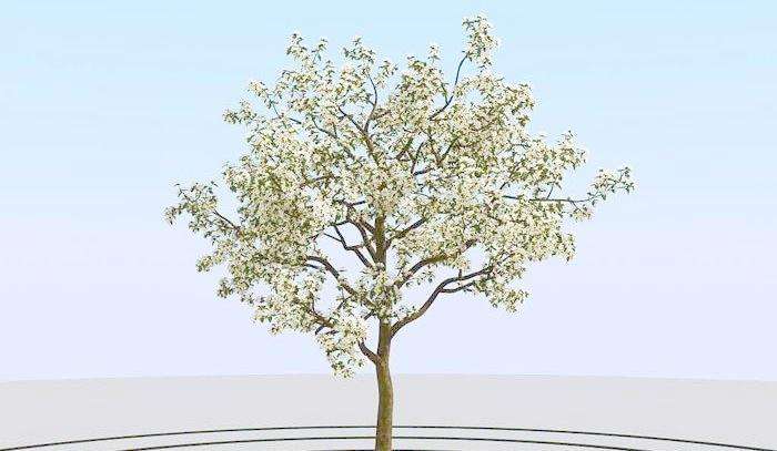 ���ռ�̵�Ů����������𰡢