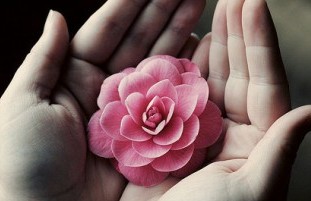 �����ֵ�Ψ��������* ���ٗ� *