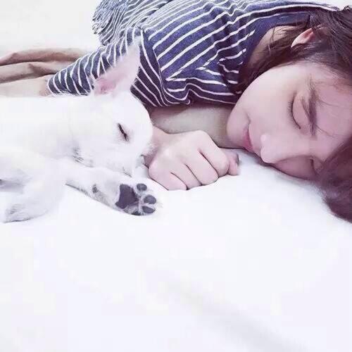 ������ĳ�������Ӣ���������ȷ�-�ɰ���