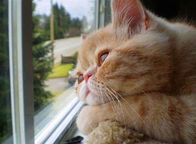 ÄÚºÓÎÏ·Ãû×Ö£¬¸ãЦÄÚºÓÎÏ·êdzÆ