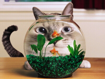 情侣长网名,长一点的情侣网名