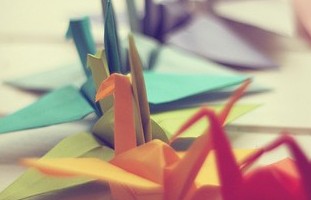 ���Ǽ���ľ��������Ƽ�����ֻ����Ҋ