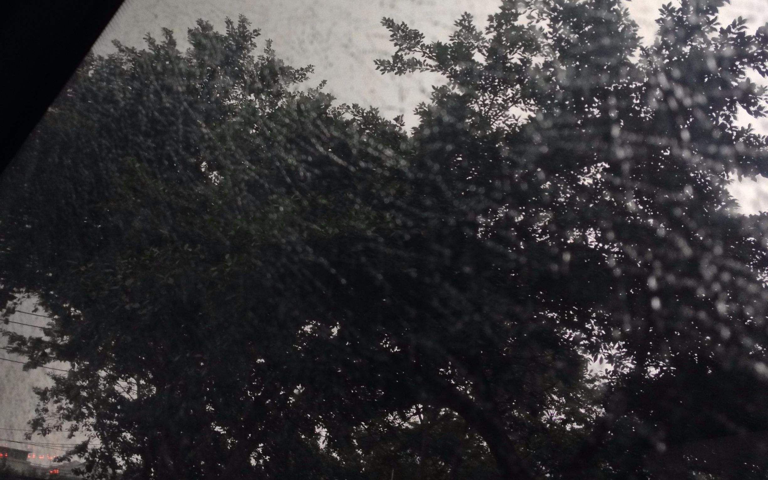 ��̱���һ���������5��İ�