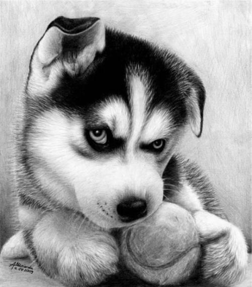 �����ĳ������ְ����а�ȫ��-�ɰ���