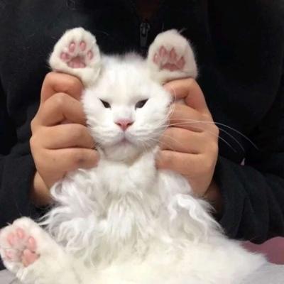 ������ȡ���������ִ�ȫ�����ڼ��еĵ�λ-�ɰ���