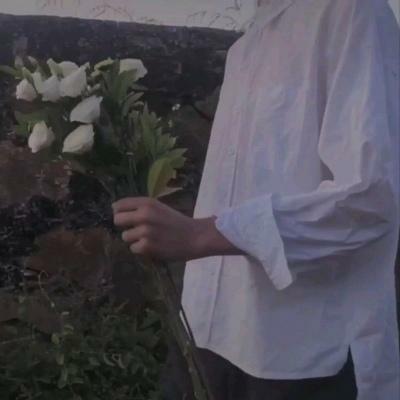 �������ѳ������������ʺ�������-�ɰ���