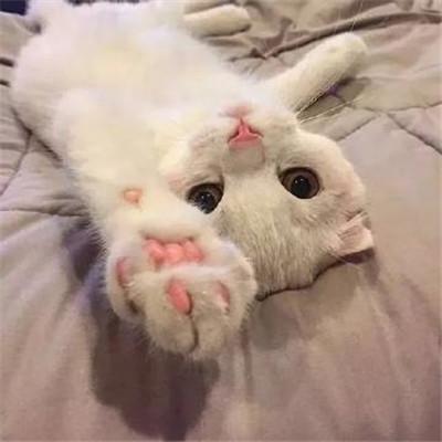 �İ��ĳ������������ּ�Լ�ٴ�-�ɰ���