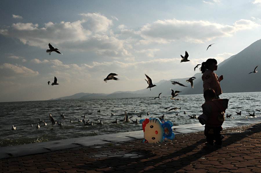 2017Ψ���⾳���������������r��������